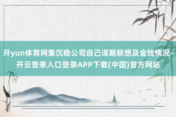 开yun体育网集沉稳公司自己谋略联想及金钱情况-开云登录入口登录APP下载(中国)官方网站